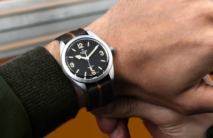 Tudor Ranger collection